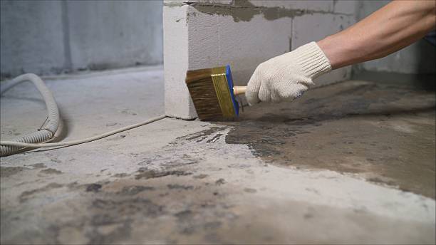 Top rated local Basement Waterproofing specialists in Pomona, KS
